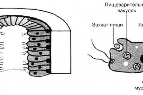 Кракен маркет что это