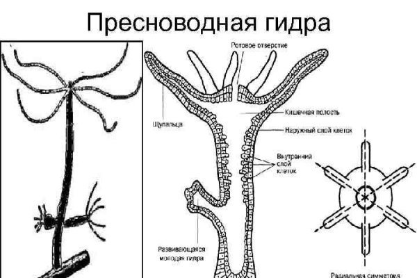 Ссылка на кракен kr2link co